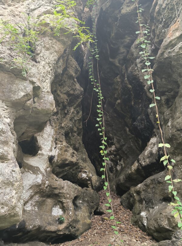 Inside view of Gua Batu Cermin with light beams reflecting off the cave walls