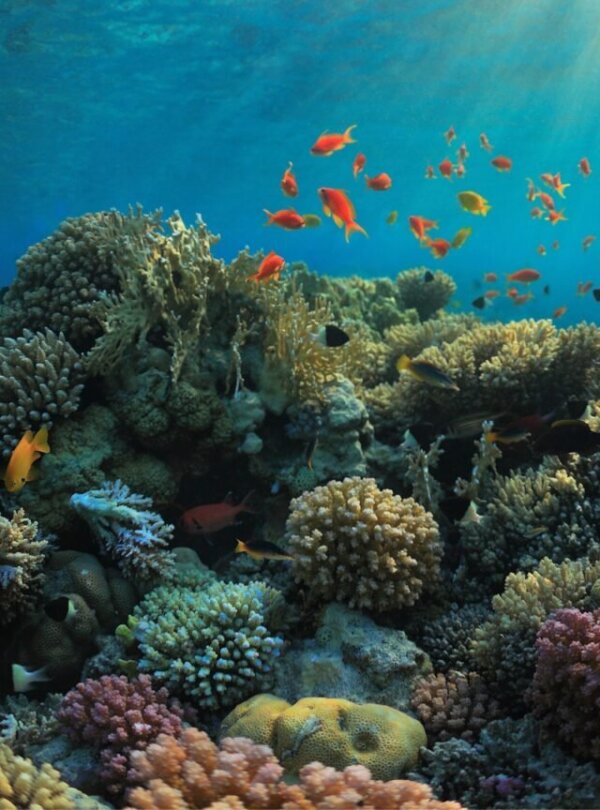 Komodo National Park landscape with islands and blue ocean in East Nusa Tenggara
