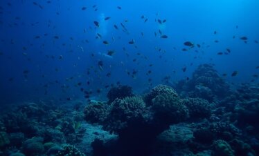 Komodo National Park landscape with islands and blue ocean in East Nusa Tenggara
