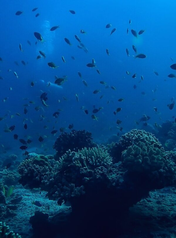 Komodo National Park landscape with islands and blue ocean in East Nusa Tenggara