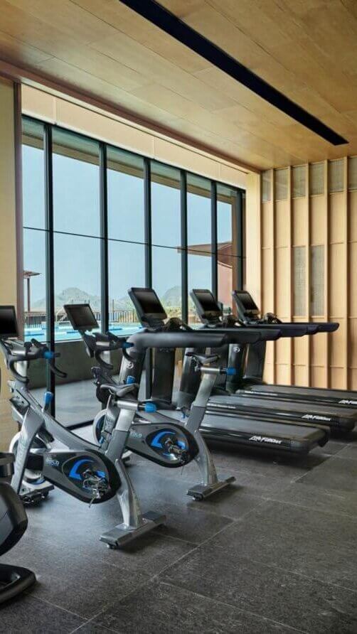 Sports & Wellness