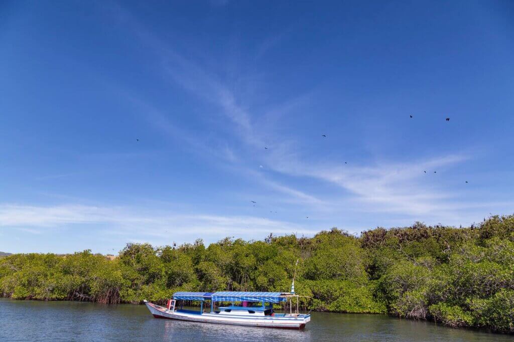 Sunset view at Kalong Island with thousands of flying foxes soaring over the mangroves