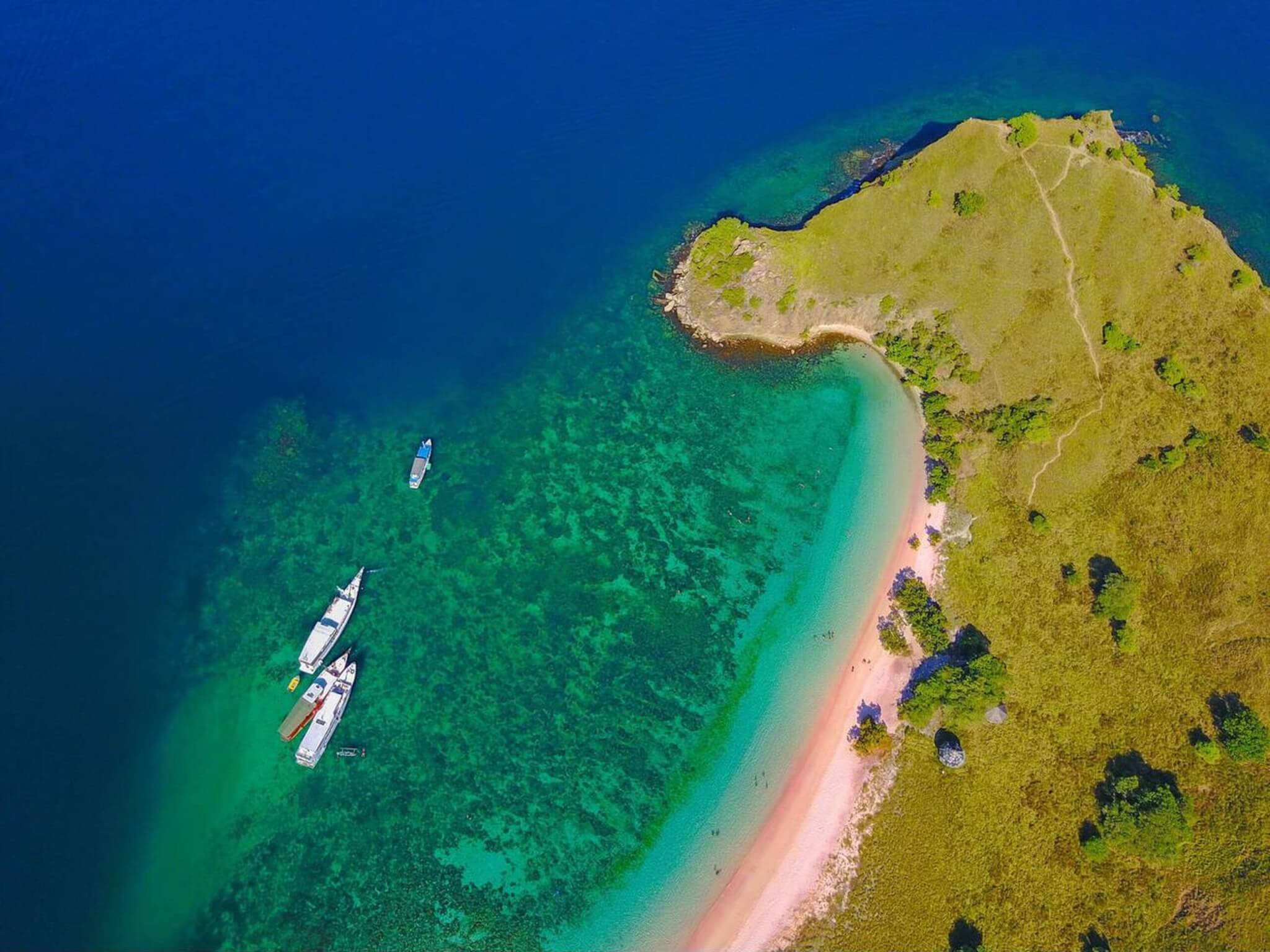 Soft pink sand and clear turquoise waters at Pink Beach in Komodo National Park, Indonesia