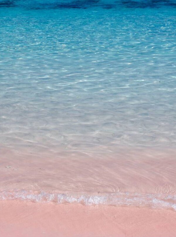 Soft pink sand and clear turquoise waters at Pink Beach in Komodo National Park, Indonesia
