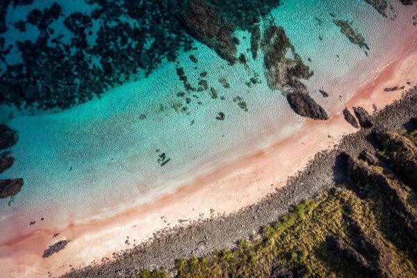 Pink Beach – The Famous Rosy Shore of Komodo Island Soft pink sand and clear turquoise waters at Pink Beach in Komodo National Park, Indonesia