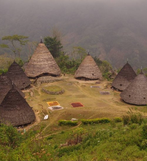 Wae Rebo Village – The Hidden Traditional Village in the Clouds Traditional conical houses of Wae Rebo Village surrounded by lush green mountains in Flores, Indonesia