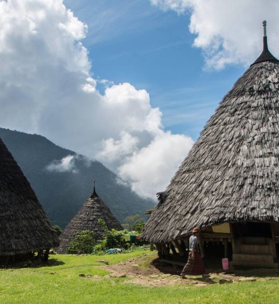 Wae Rebo Village – The Hidden Traditional Village in the Clouds Traditional conical houses of Wae Rebo Village surrounded by lush green mountains in Flores, Indonesia