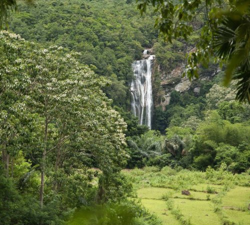 Cunca Rami – Majestic Jungle Waterfall in Flores Tall waterfall cascading into a clear pool surrounded by lush green forest at Cunca Rami in Flores
