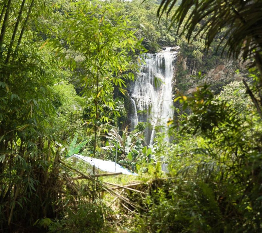 Cunca Rami – Majestic Jungle Waterfall in Flores Tall waterfall cascading into a clear pool surrounded by lush green forest at Cunca Rami in Flores