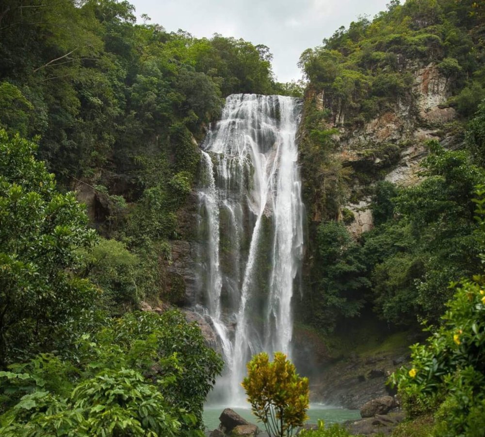 Cunca Rami – Majestic Jungle Waterfall in Flores Tall waterfall cascading into a clear pool surrounded by lush green forest at Cunca Rami in Flores