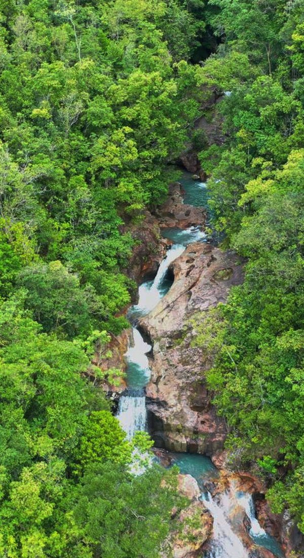 Cunca Rami – Majestic Jungle Waterfall in Flores Tall waterfall cascading into a clear pool surrounded by lush green forest at Cunca Rami in Flores