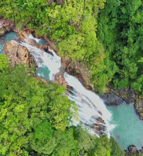 Cunca Rami – Majestic Jungle Waterfall in Flores Tall waterfall cascading into a clear pool surrounded by lush green forest at Cunca Rami in Flores