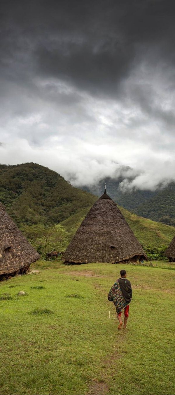 Wae Rebo Village – The Hidden Traditional Village in the Clouds Traditional conical houses of Wae Rebo Village surrounded by lush green mountains in Flores, Indonesia