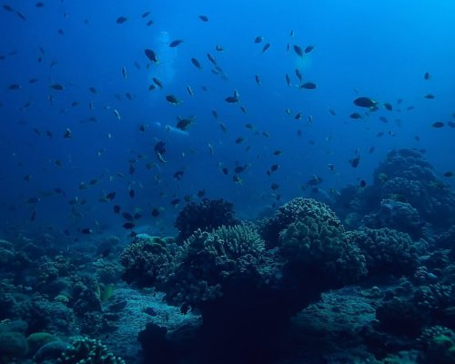 Taman Nasional Komodo – UNESCO World Heritage Site in East Nusa Tenggara Komodo National Park landscape with islands and blue ocean in East Nusa Tenggara